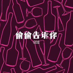 穿着情趣内衣做爱
